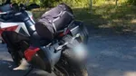 Ursoica care l-a ucis pe motociclistul din Italia a fost împușcată
